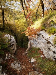 Fototapeta premium autumn mountain landscape in sochi