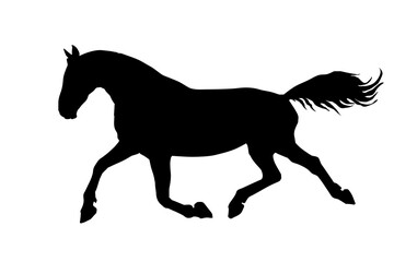 Fototapeta na wymiar isolated realistic black silhouette of a running trotter of the Oryol trotter breed