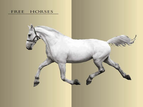 a gray trotter of the Oryol breed trots against the background of a book spread