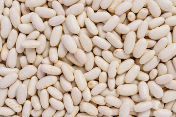 Full frame of white bean grains.