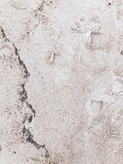 Natural Light Abstracting Background Sand Baltic Beach