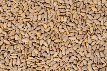 Full frame of sunflower seeds.