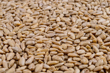 Full frame of sunflower seeds. Selective focus.