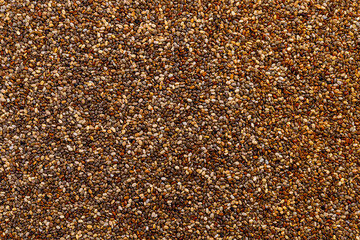 Full frame of chia seed.