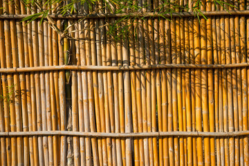 Japanese bamboo fence texture background with warm sunlight evening in Japanese zen garden. Detail...