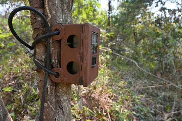Installing wildlife camera traps
