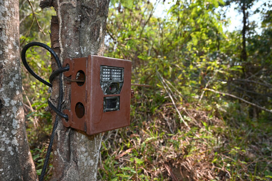 Installing wildlife camera traps