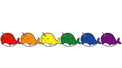 Narwhal LGBT colors
