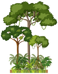 Fototapeta premium Set of different rainforest trees on white background