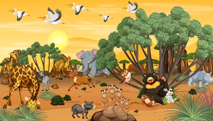 Hintergrund der afrikanischen Waldlandschaft © blueringmedia