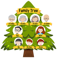 Diagram showing three generation family tree