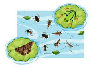 Top view of aquatic insects in the pond