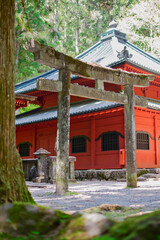 新緑の季節　森の中の神社
