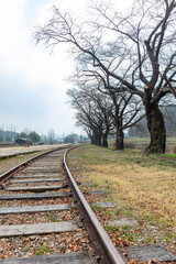 Fototapeta premium 봄 풍경