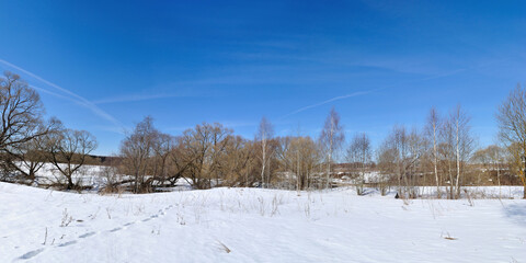 Spring walk through the forest, beautiful panorama.