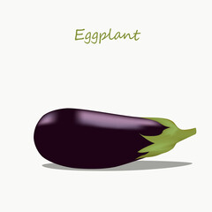 Eggplant vegetable isolated on white background. Vector illustration.
