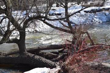 Wilson waterfalls in southern Quebec 