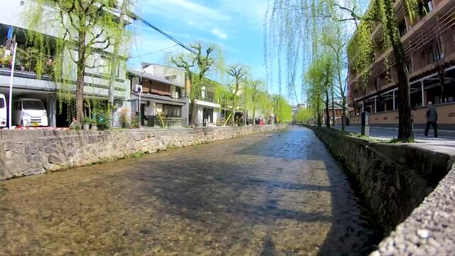 GoPro Timelapse river canal shot in street with weeping trees in Kyoto Japan 1920x1080 HD