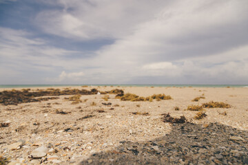 sand dunes on the beach