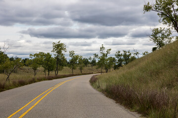 Fototapeta premium road in the forest