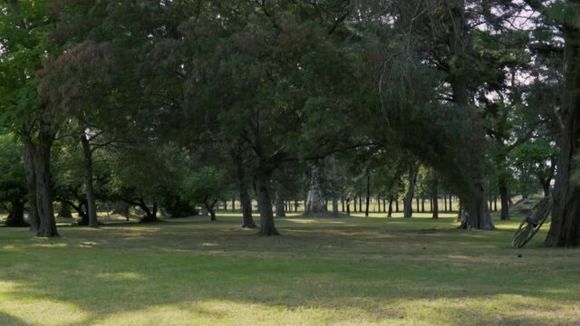Paseando por el jard&iacute;n en una tarde c&aacute;lida de oto&ntilde;o