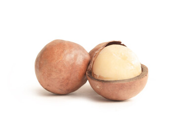 Macadamia nut on a white background.