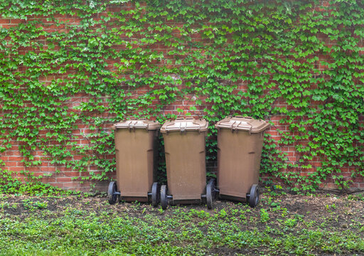 trois bac &agrave; poubelles bruns devant un mur de feuilles
