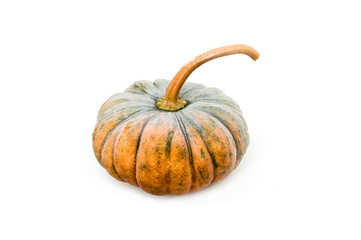 Pumpkin (Cucurbita moschata) isolated on white background.