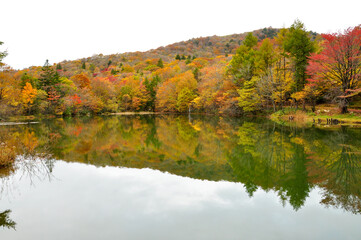 紅葉　リフレクション　湖