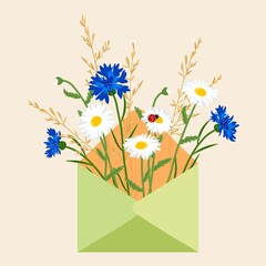 Vector illustration on an isolated background. A bouquet of summer wildflowers and herbs. Daisies and cornflowers in a greeting envelope will become a postcard, print, sticker, gift packaging.