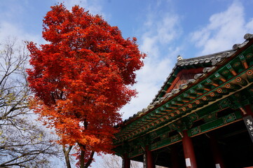 전주 한옥마을