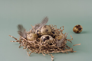 Easter nest made of hay with quail eggs and feathers on a blue background, close-up. Easter composition in pastel colors. Natural Easter background, creative layout