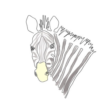Zebra head vector one line art illustration isolated on white background. Hand drawn modern trendy fashion design
