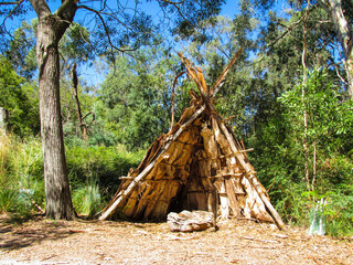 A humpy surrounded by bush plants. This temporary shelter is traditionally used by indigenous...