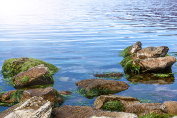 Fototapeta na wymiar Seascape on a sunny day. Large stones with green moss on the seashore. Natural background. Copy space.