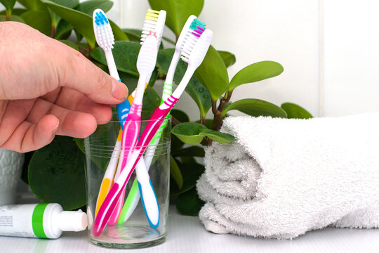 Five Toothbrushes In A Glass Cup Mouthwash A Tube Of Toothpaste And A Rolled Up Towel On The Dressing Table Against A Backdrop Of Green Foliage