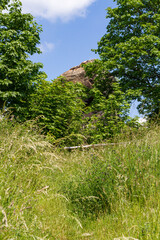 unterwegs auf dem Teufelsmauerstieg im Harz Teilstück Rieder blühende Landschaften