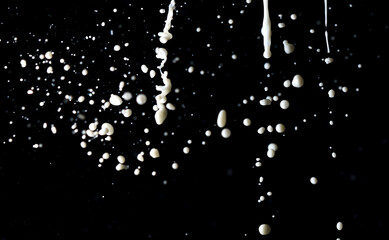 Naklejka na ściany i meble Splashes of white milk isolated on a black background.