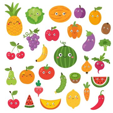 vector fruit set on white background for kids
