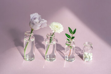 Four glass jars with flowers and greenery stand on a lilac background.