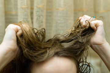 Fototapeta premium Mess, problem hair. Woman holding tangled hair in her hands.