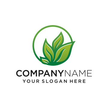 Fancy leaf and farm circle logo logo design