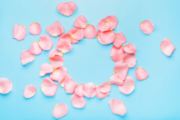 Frame made of beautiful pink rose petals on color background