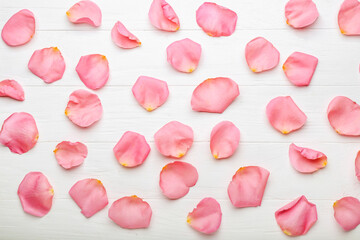 Beautiful pink rose petals on white wooden background
