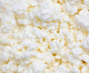 Fresh milk curd as background.