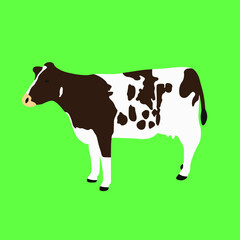 Simple vector illustration of brown and white cow isolated on a green background. Cartoon style cow icon.