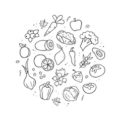 Hand drawn set of vitamin C sources. Vegetables, fruits, berries. Doodle sketch style. Vector outline illustration for banner, website, background and more.