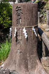 鳩森八幡神社　富士塚