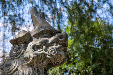 熊野神社　狛犬