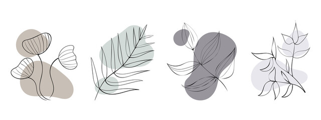A branch with leaves is a natural line. Minimalistic design. Vector illustration